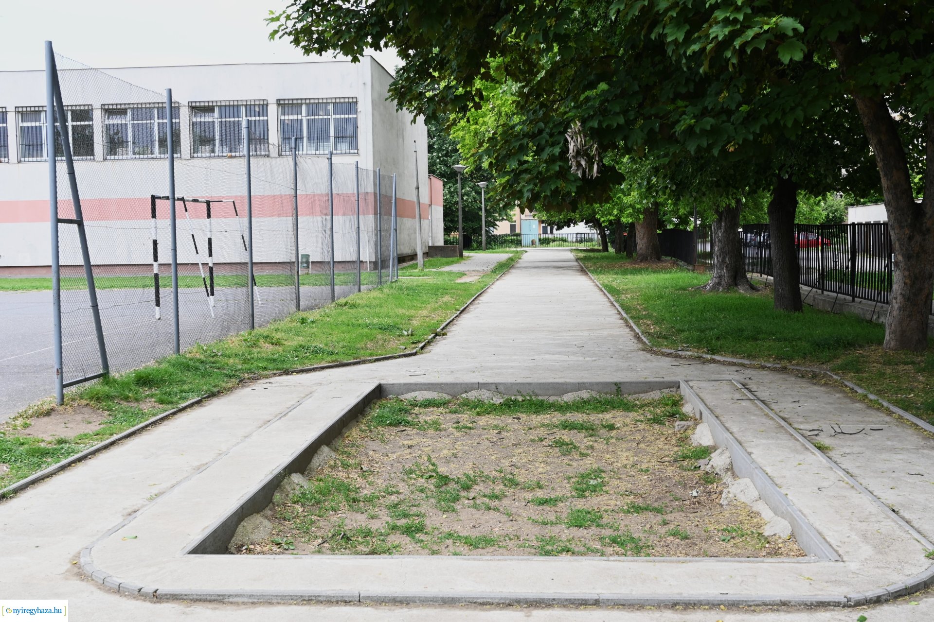 Sportfejlesztés a Móricz Zsigmond Általános Iskolában