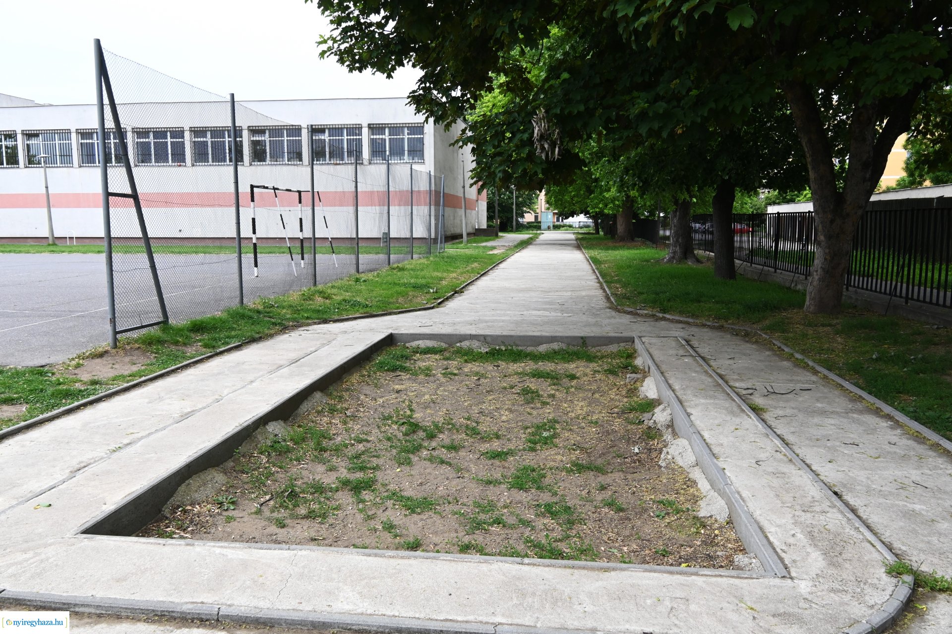 Sportfejlesztés a Móricz Zsigmond Általános Iskolában