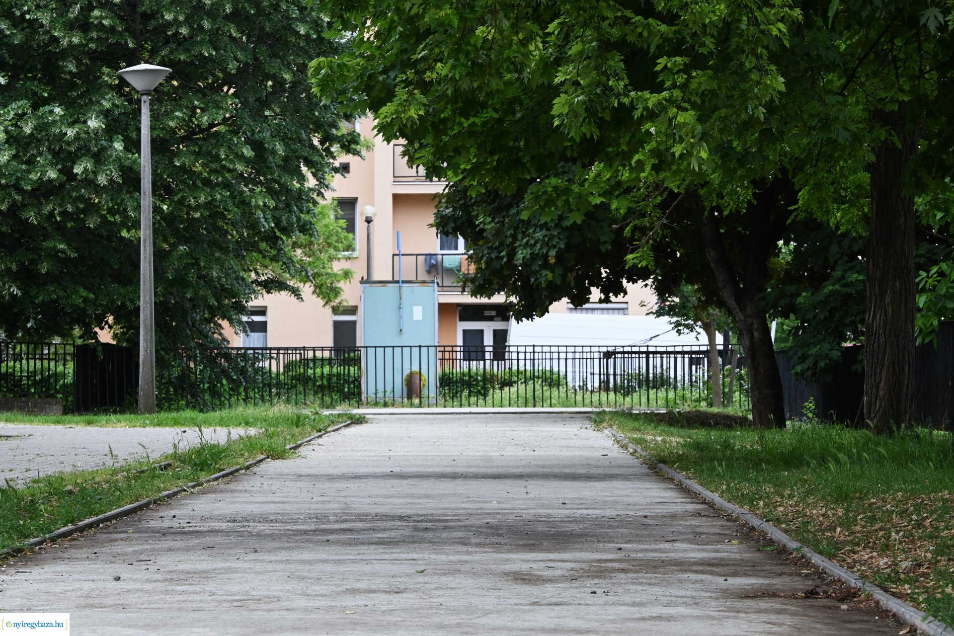 Sportfejlesztés a Móricz Zsigmond Általános Iskolában