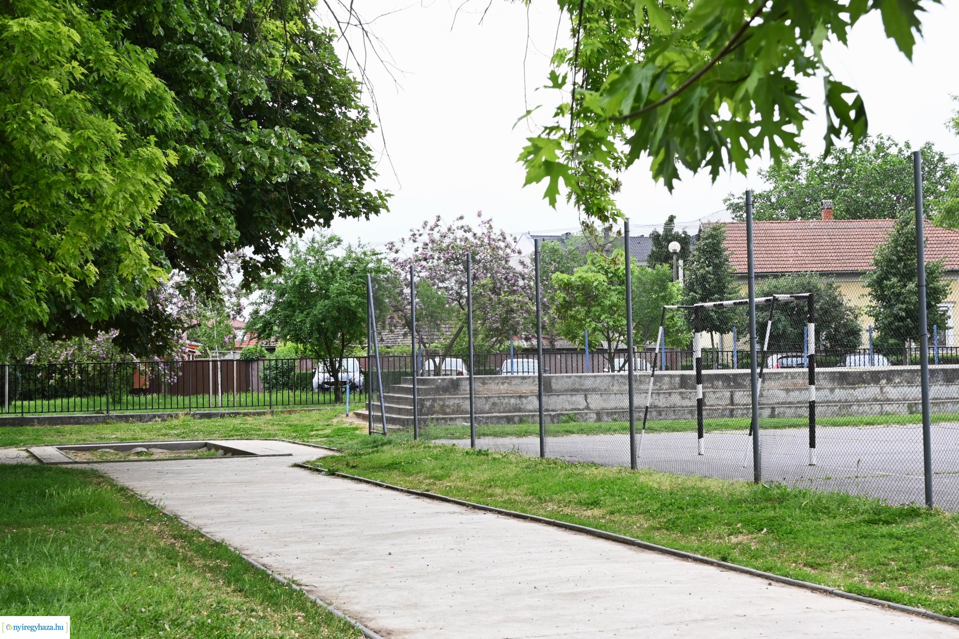 Sportfejlesztés a Móricz Zsigmond Általános Iskolában