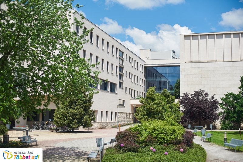 Sportkonferencia az egyetemen