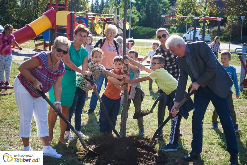 Sportpark a Csiha Kálmán utcán