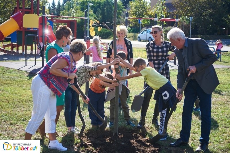 Sportpark a Csiha Kálmán utcán