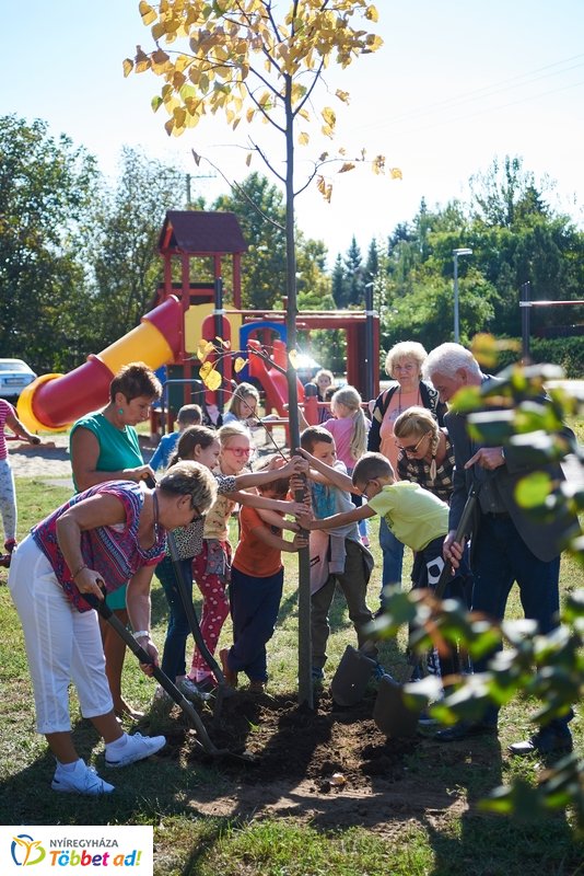 Sportpark a Csiha Kálmán utcán