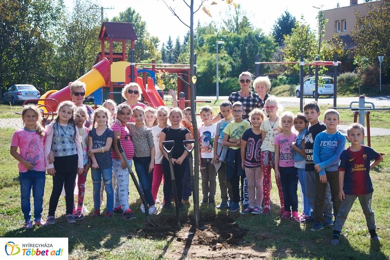Sportpark a Csiha Kálmán utcán