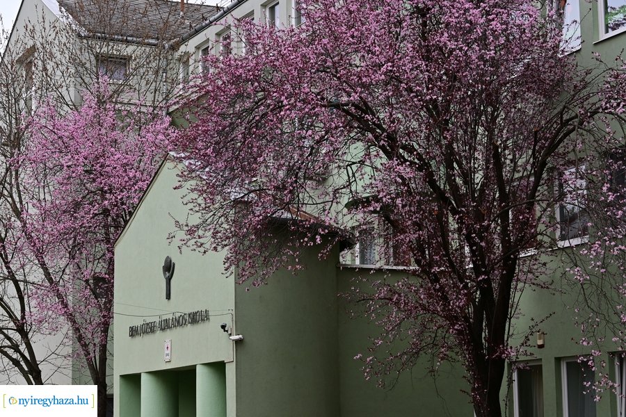 Sportvetélkedő a Bem iskolában 20240312