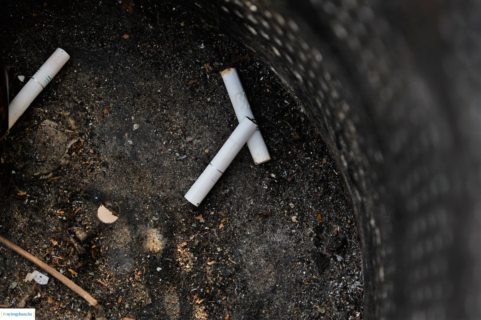 Stop cigicsikk! - sajtótájékoztató