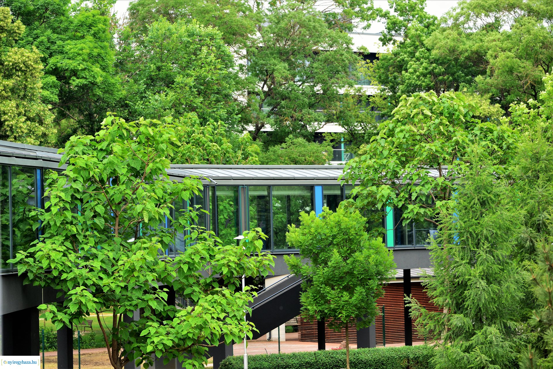 Strandnyitással kapcsolatos sajtótájékoztató