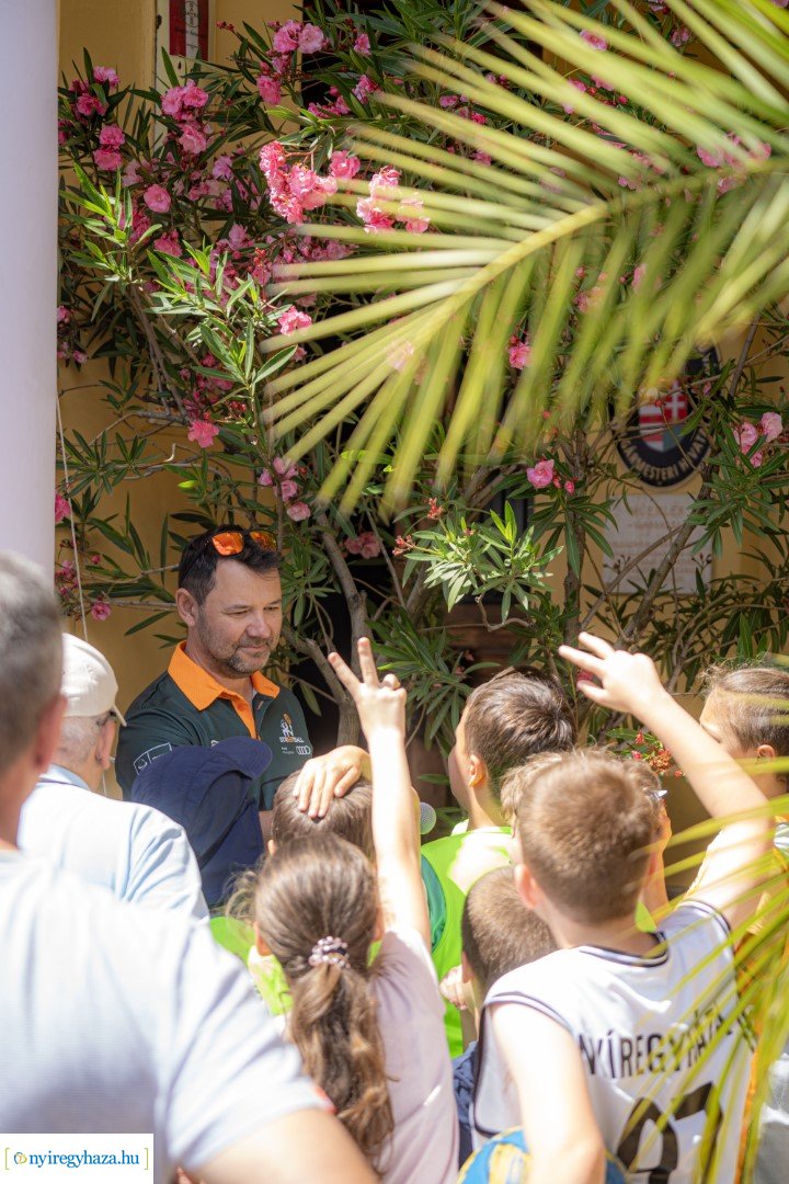 Streetball 2024 Nyíregyháza főterén