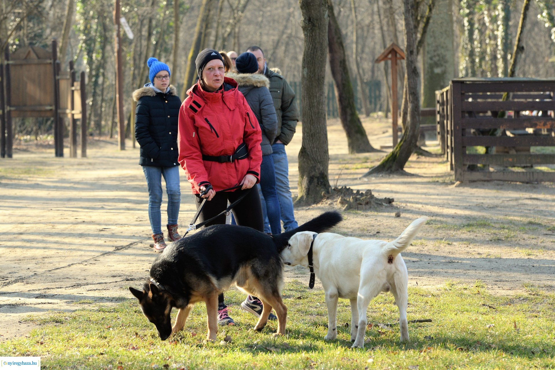 Sunday Challenge - jelemzes futás az Erdei tornapályán
