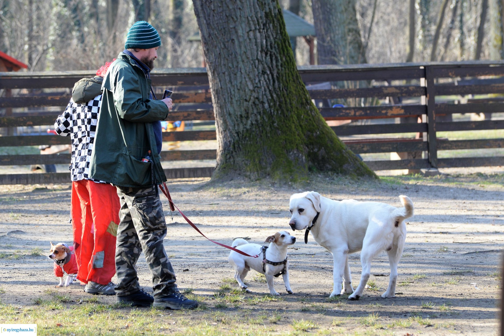 Sunday Challenge - jelemzes futás az Erdei tornapályán