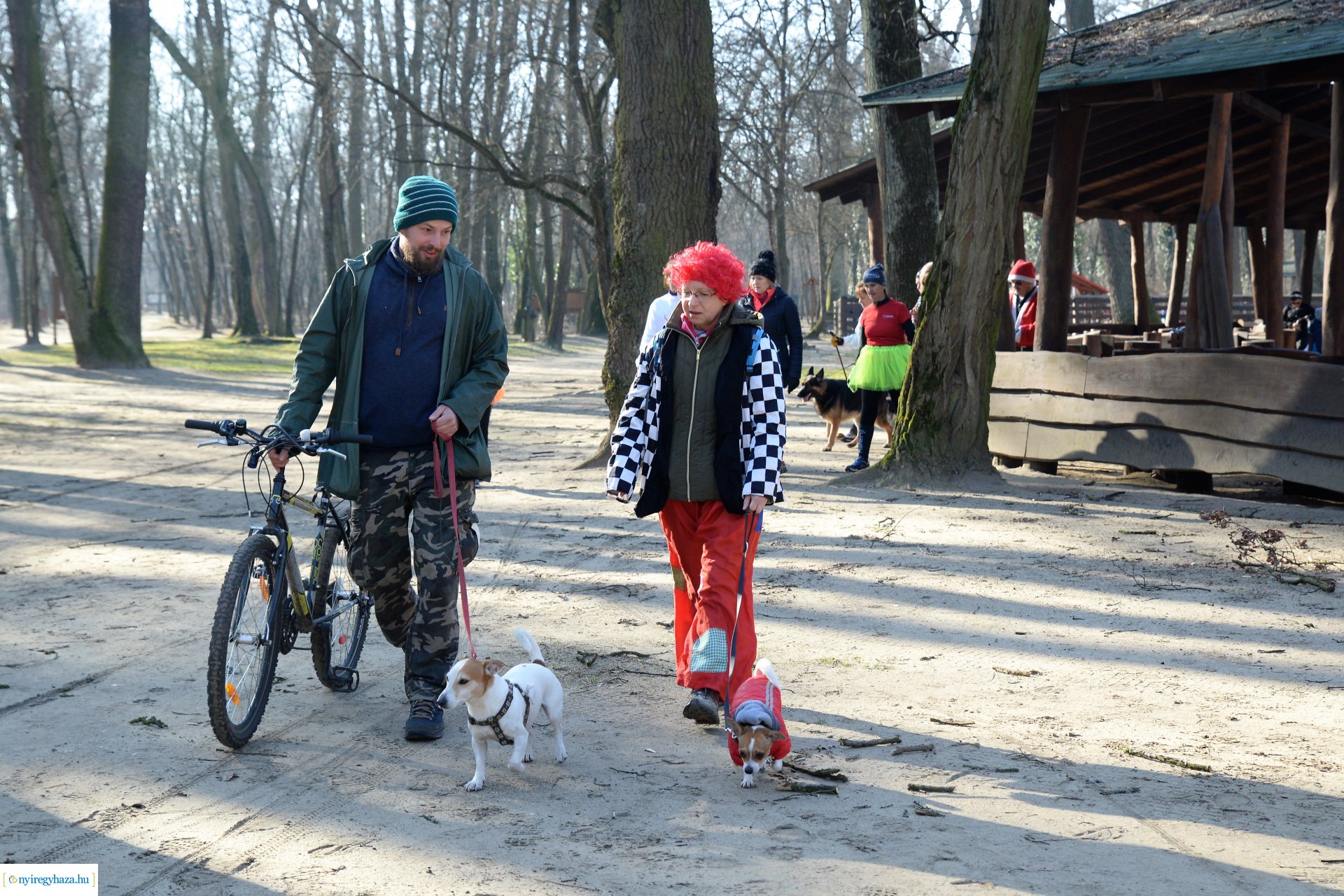 Sunday Challenge - jelemzes futás az Erdei tornapályán