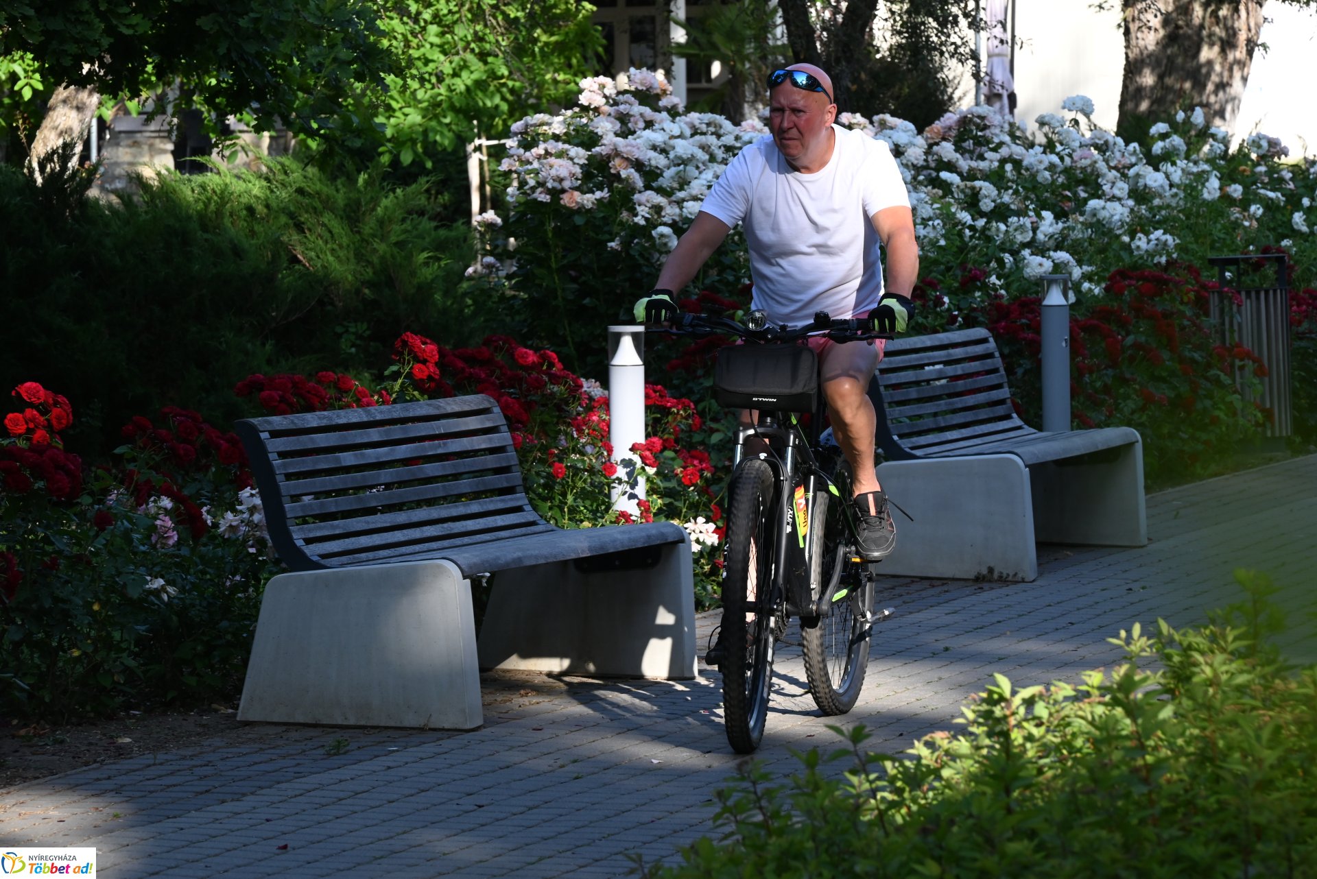 Szabadtéri gerinctorna Sóstón - a foglakozást mindenki ingyenesen látogathatja