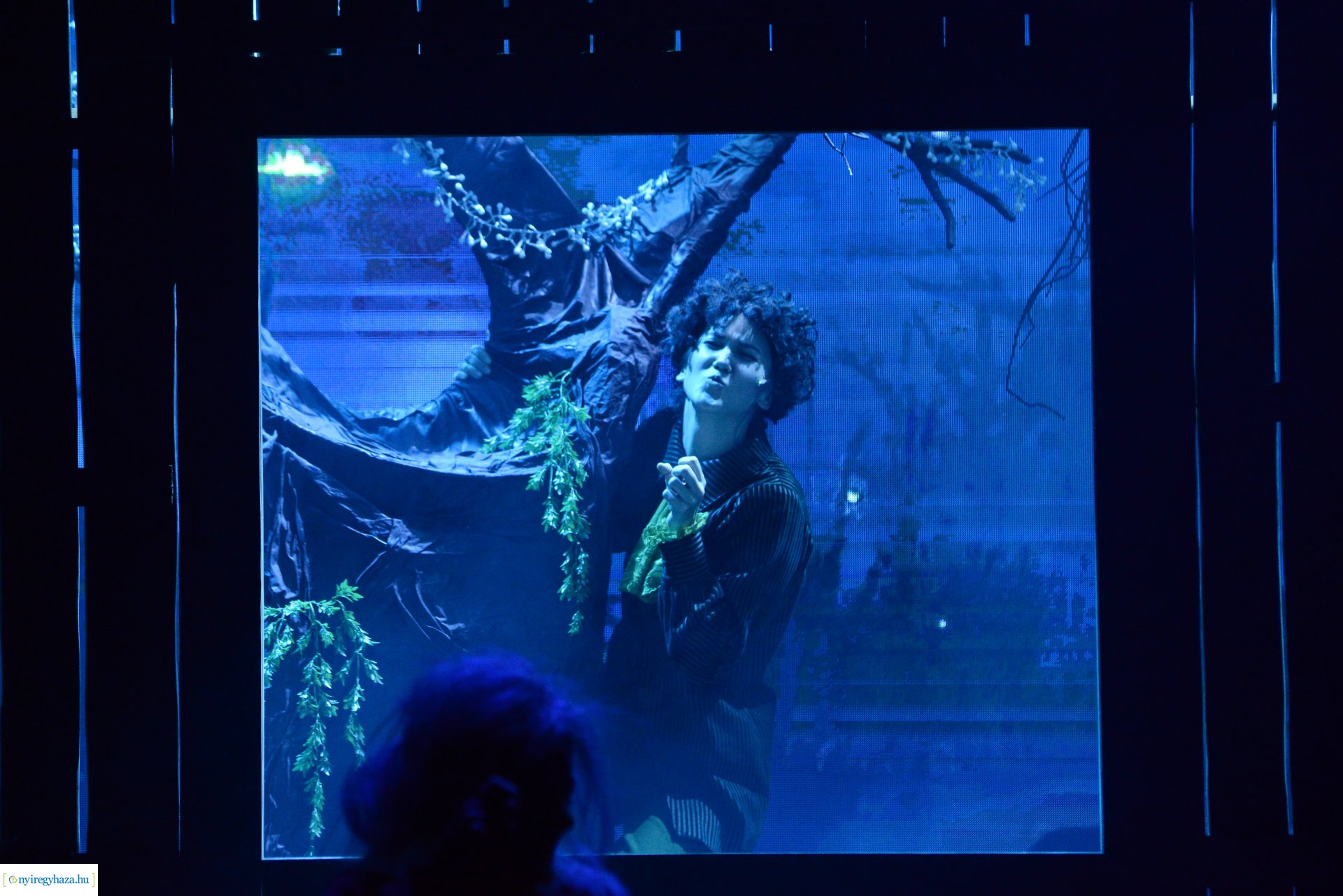 Szaffi - gyerekdarab bemutató a Móricz Zsigmond Színház nagyszínpadán