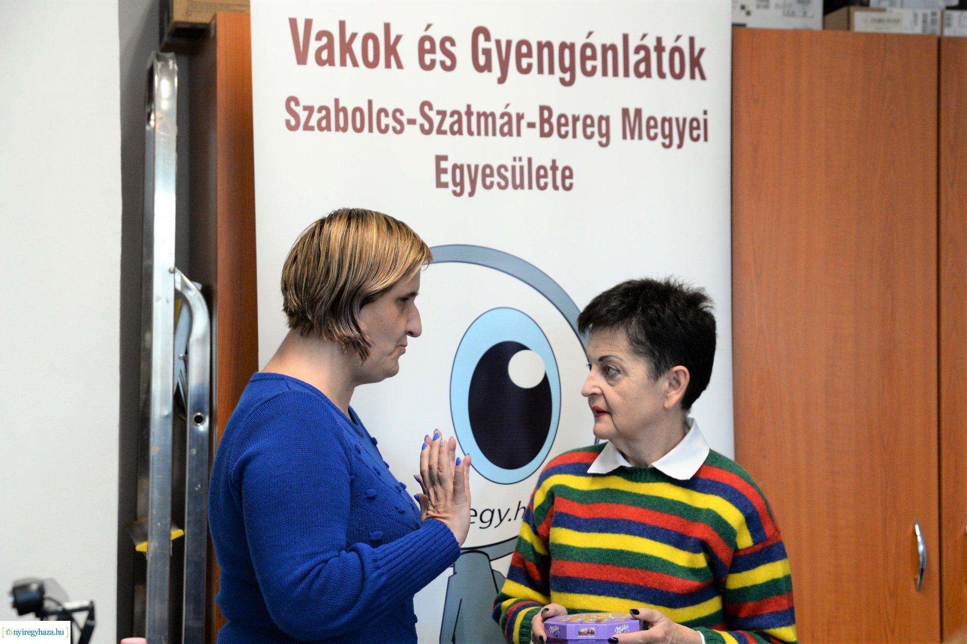 Szakmai fórum a Vakok és Gyengénlátók Egyesületénél