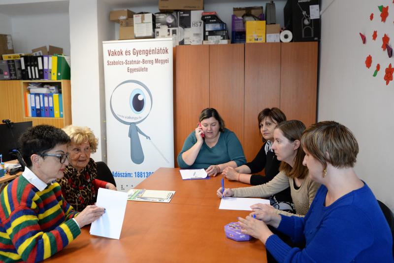 Szakmai fórum a Vakok és Gyengénlátók Egyesületénél