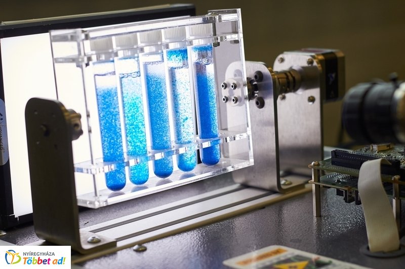 Szakmai műhelymunka