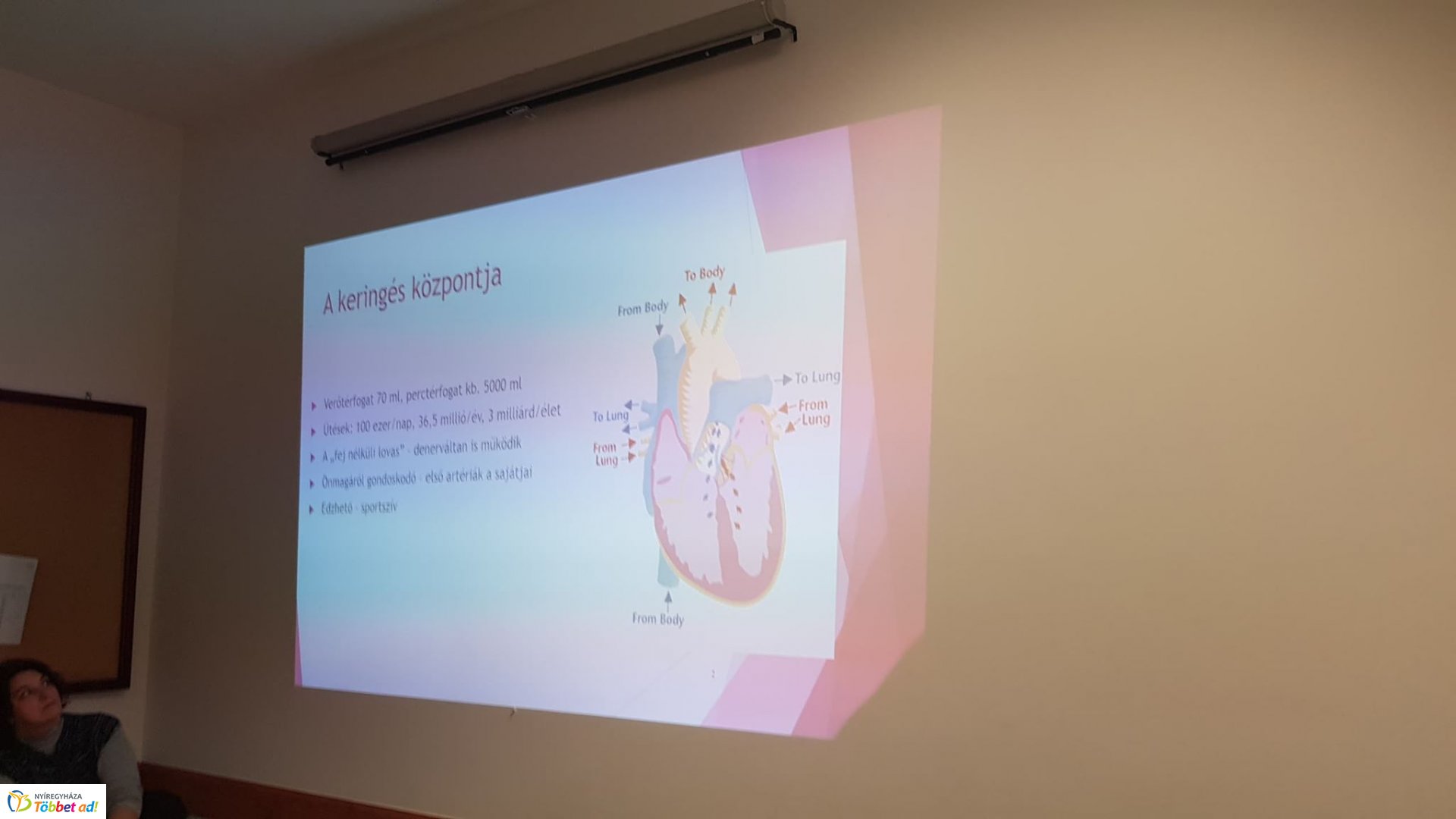 Szakmák éjszakája 2019 - Jósa András Oktatókórház