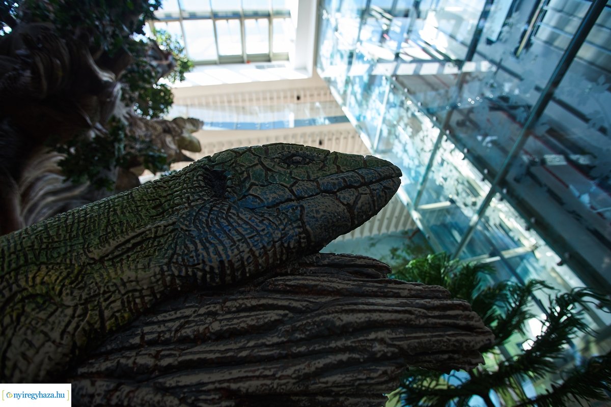 Szállóvendégek a Hotel Pangeában