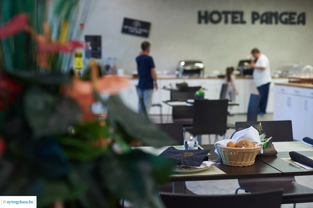 Szállóvendégek a Hotel Pangeában