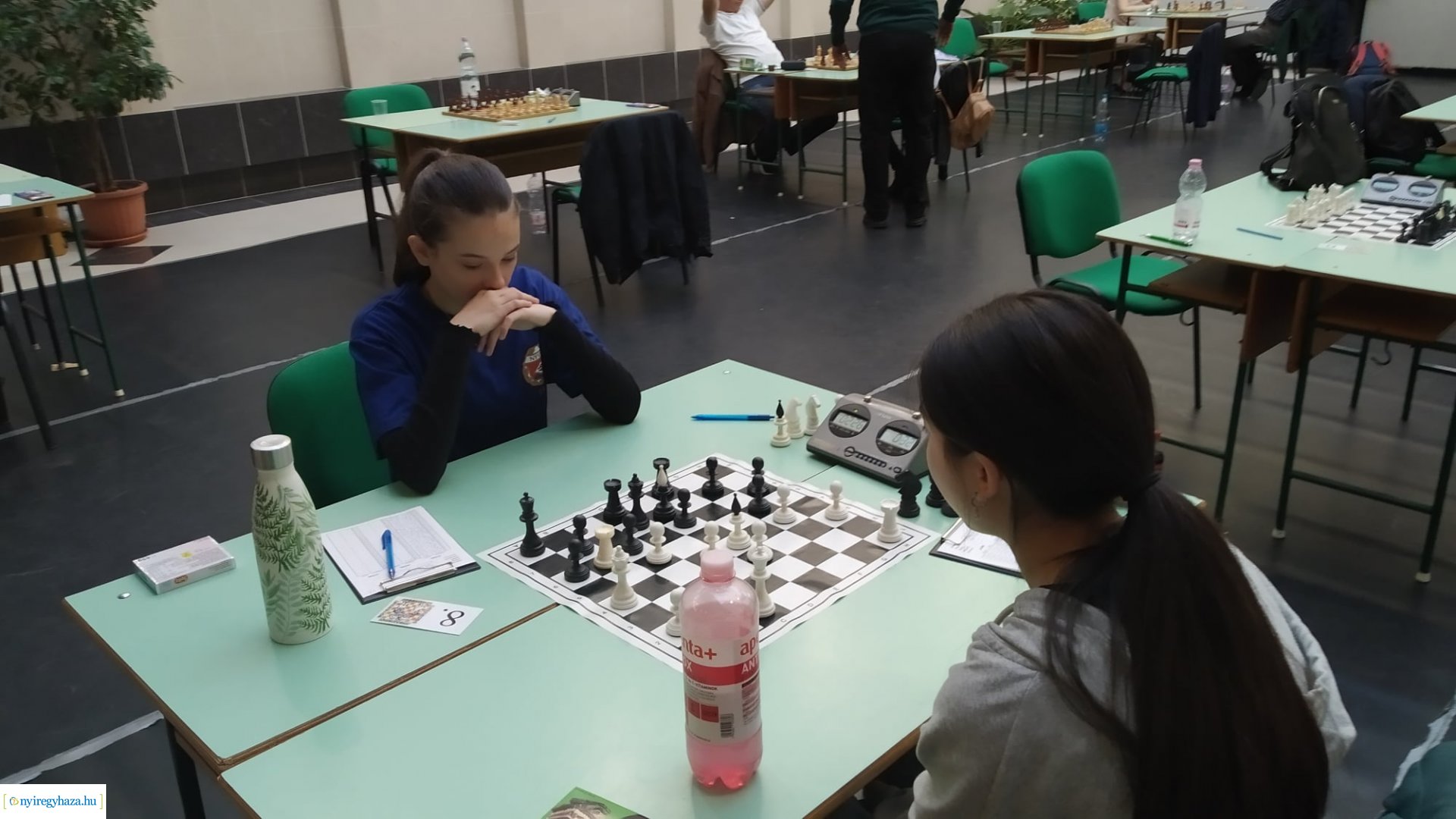 Számvetés a 64 mezőn