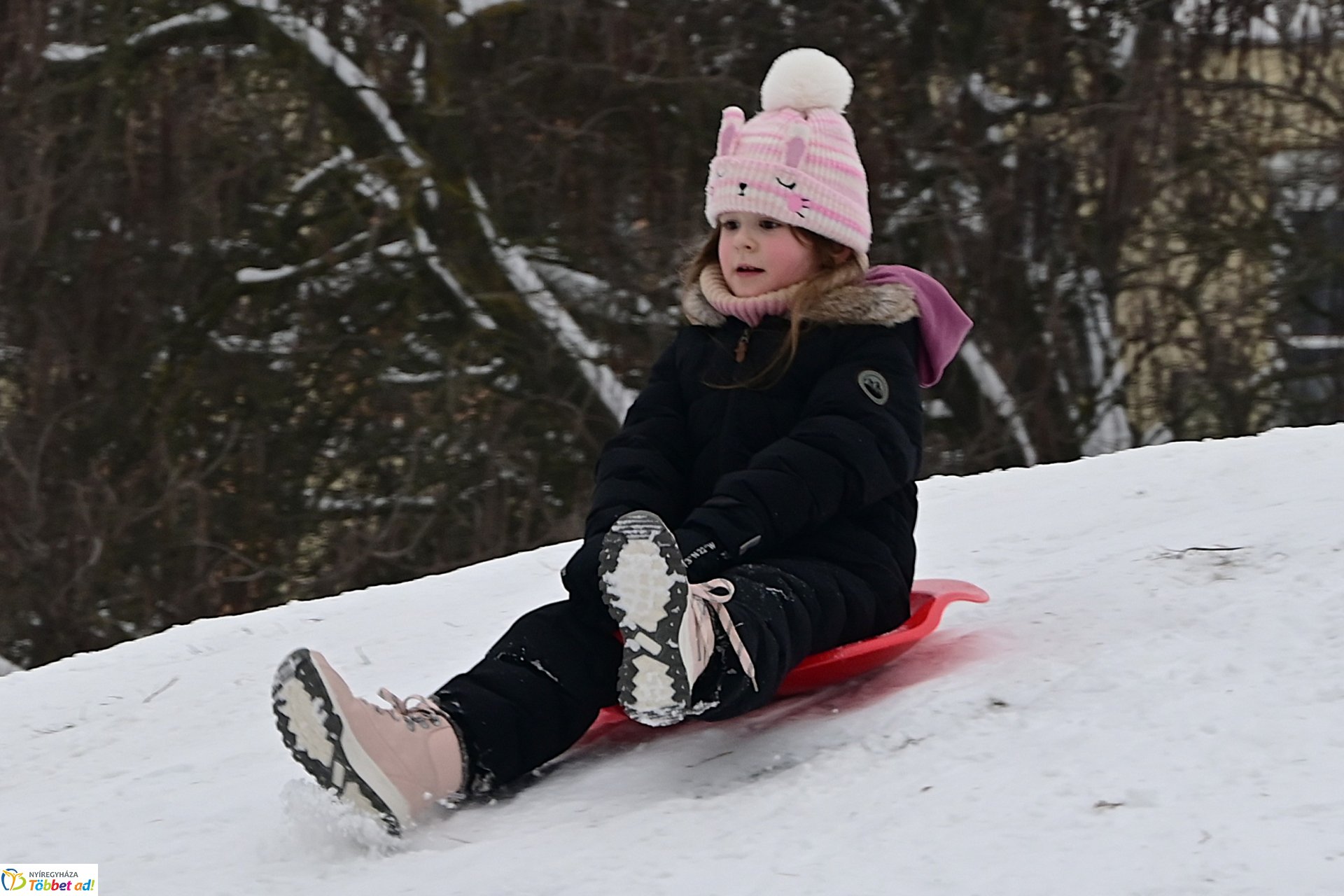 Szánkózás a Robinson-dombon