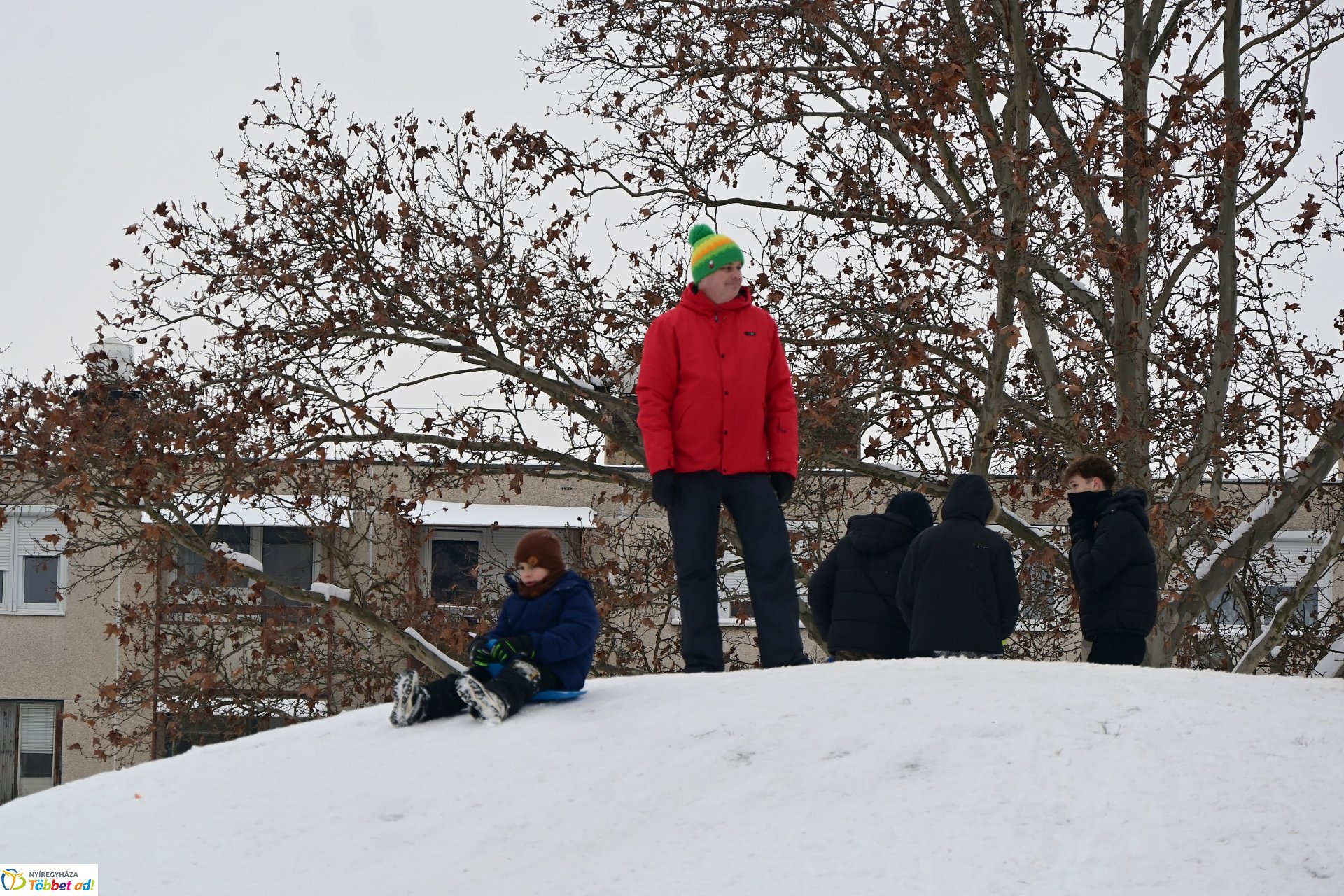 Szánkózás a Robinson-dombon