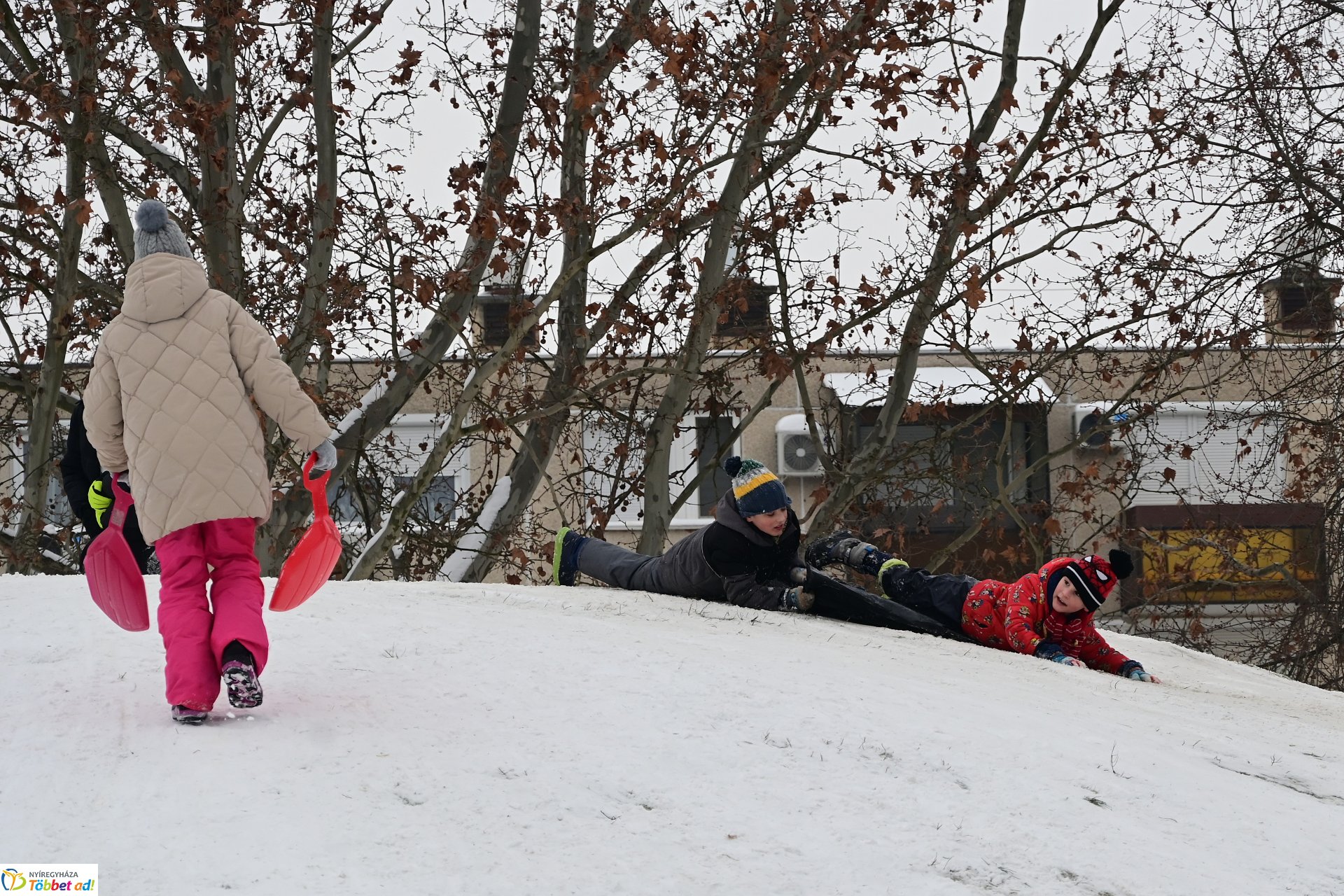 Szánkózás a Robinson-dombon