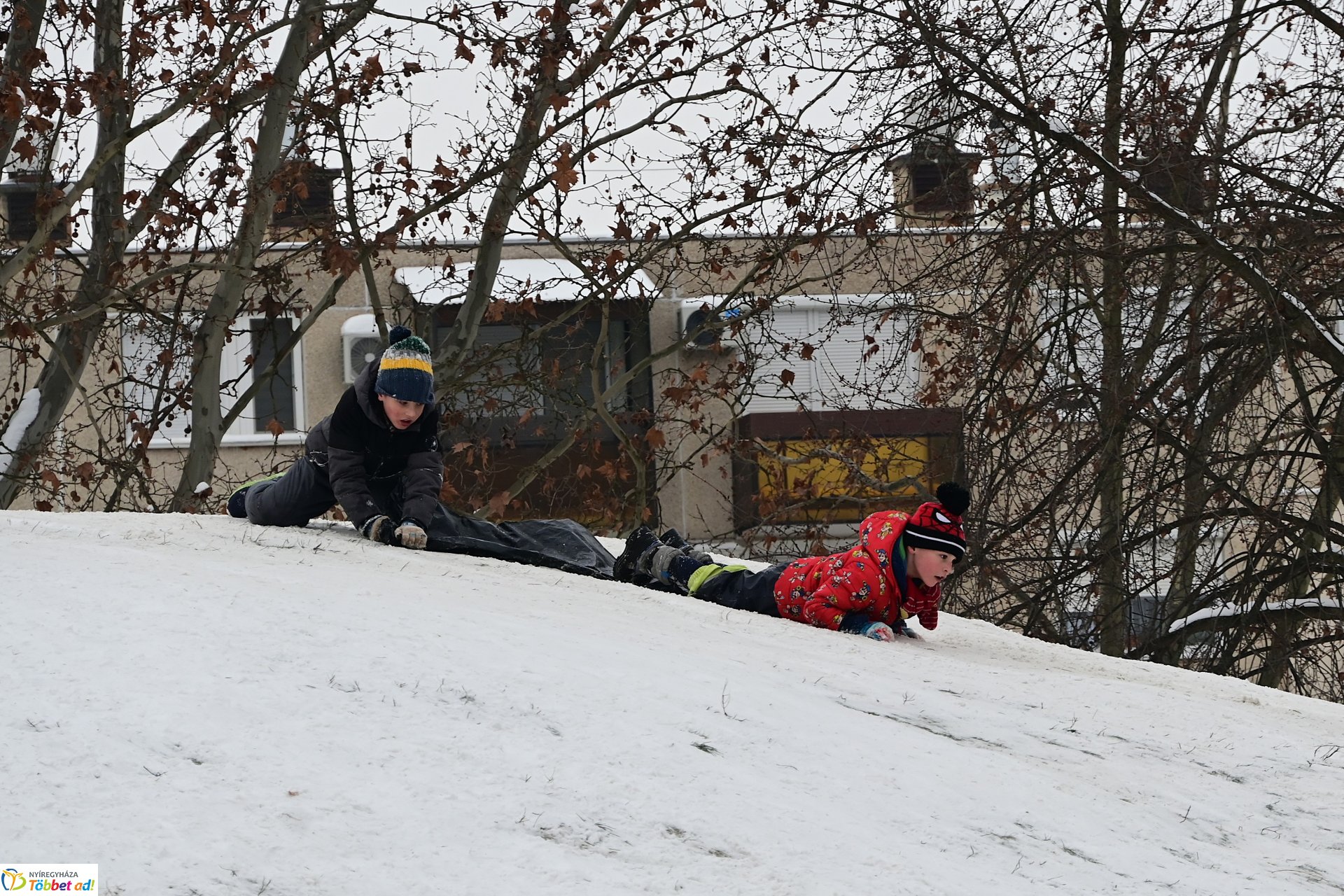 Szánkózás a Robinson-dombon