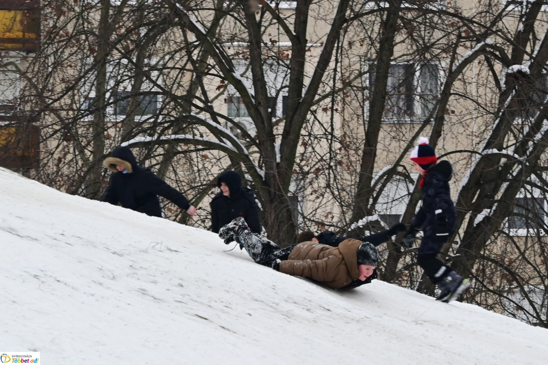 Szánkózás a Robinson-dombon