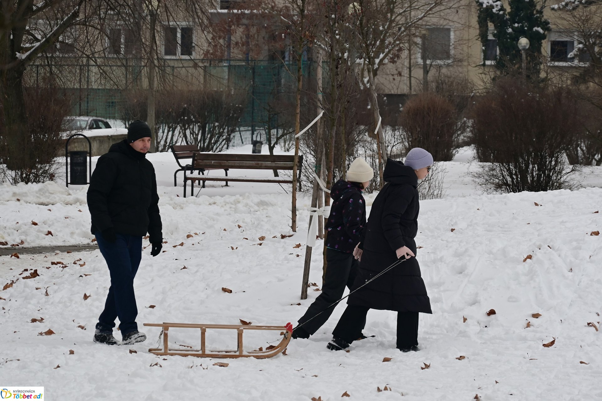 Szánkózás a Robinson-dombon