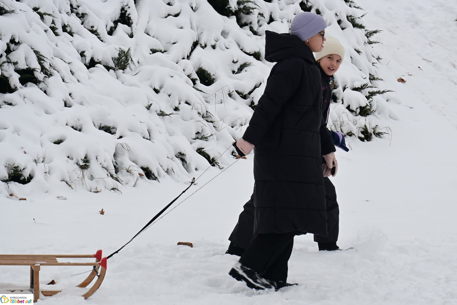 Szánkózás a Robinson-dombon