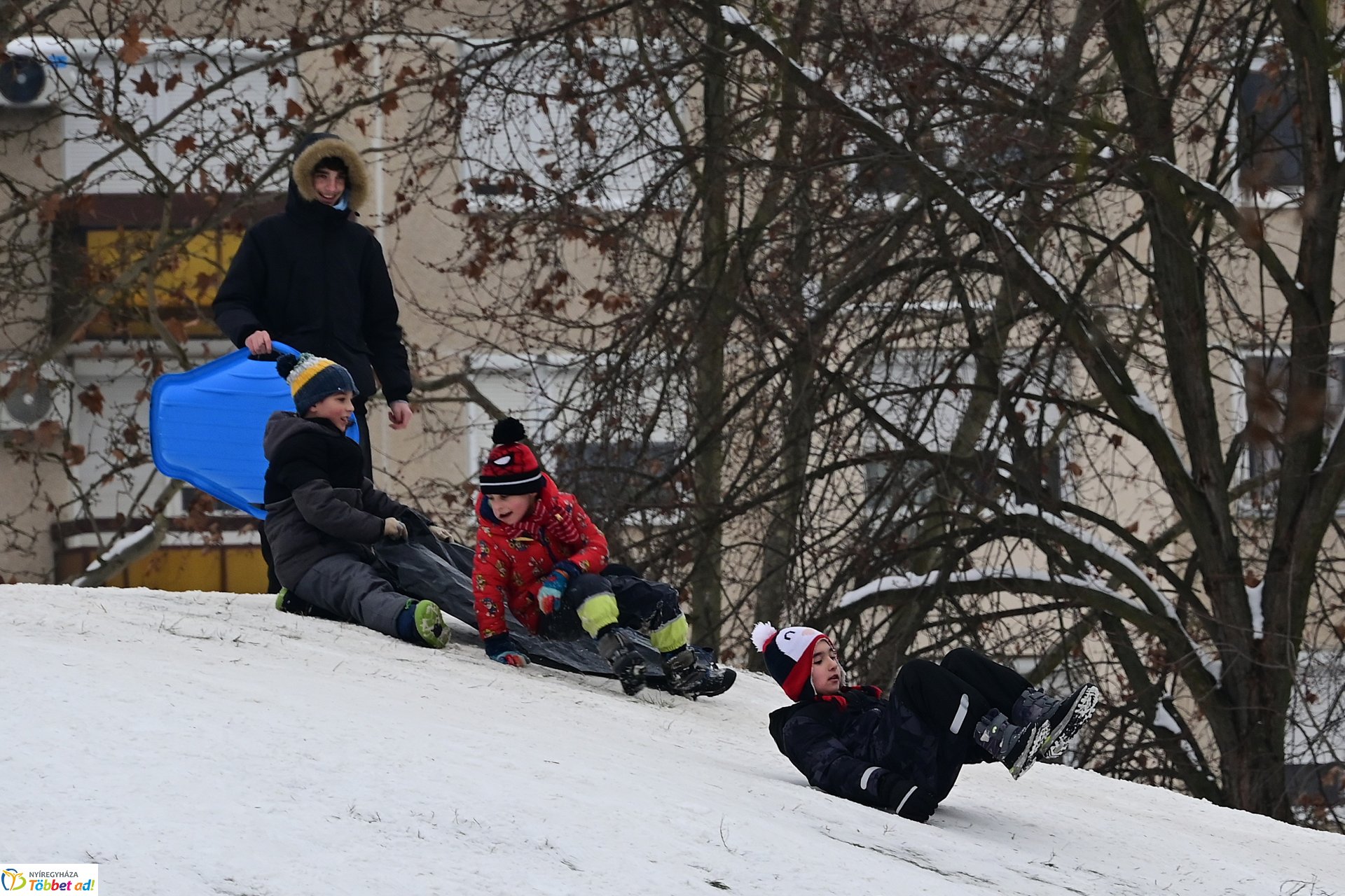 Szánkózás a Robinson-dombon