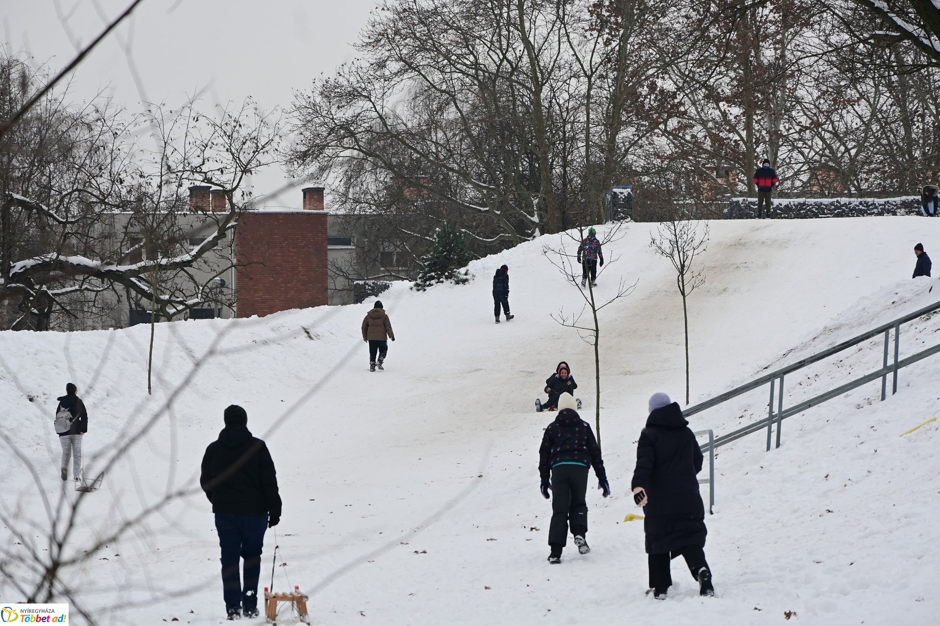 Szánkózás a Robinson-dombon