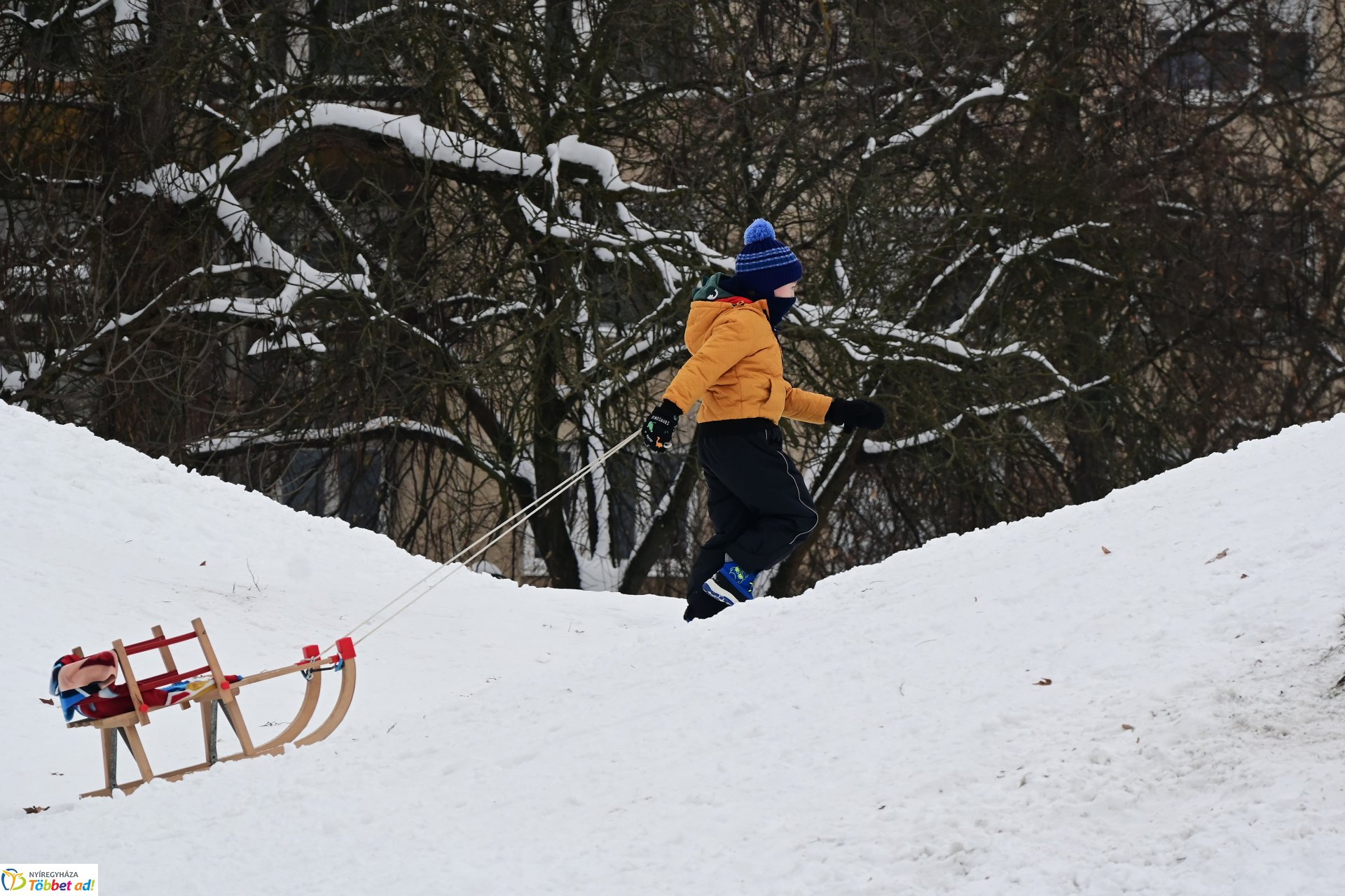 Szánkózás a Robinson-dombon