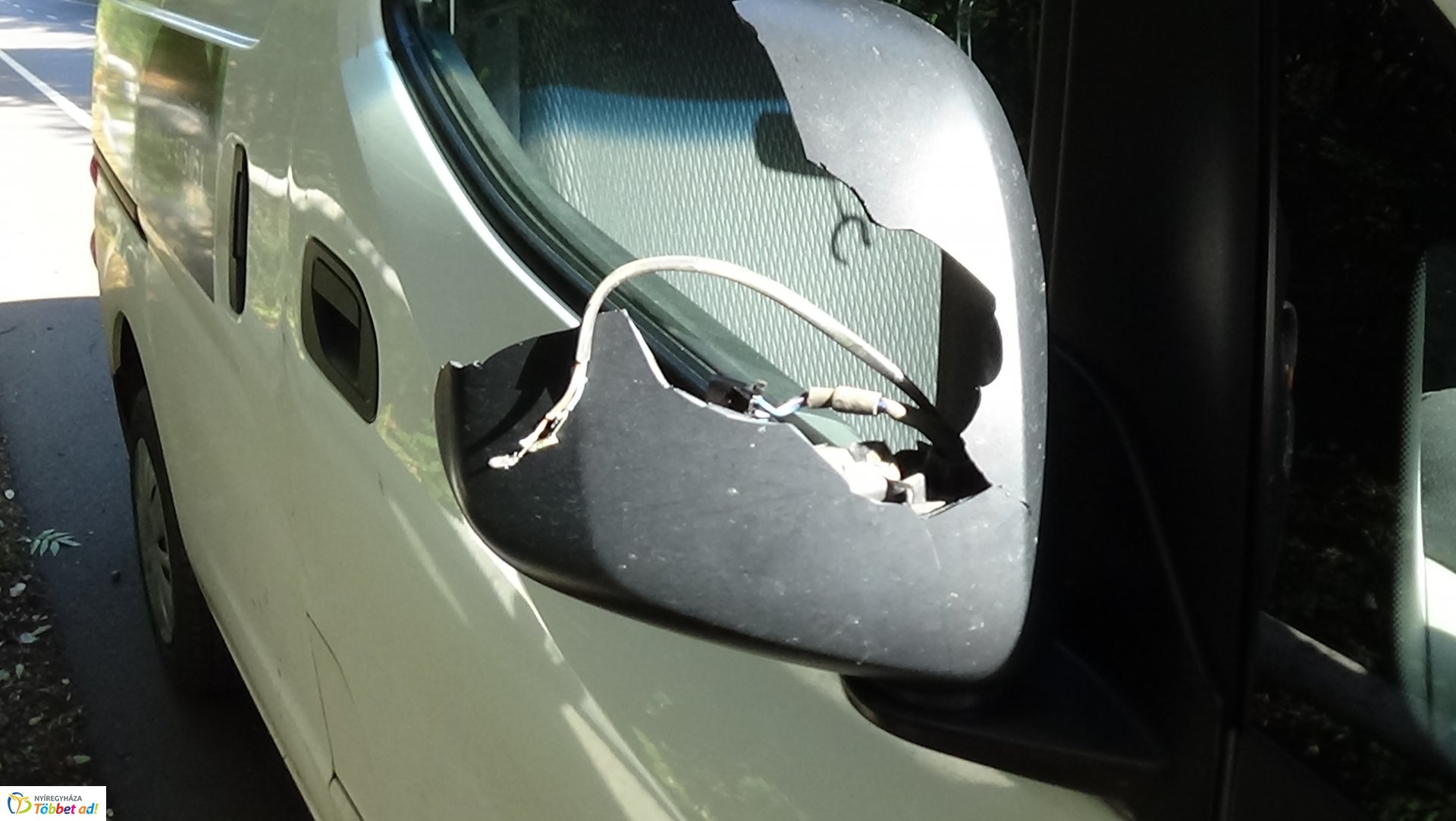 Száraz faág hajlott a Sóstói út forgalmi sávjára 