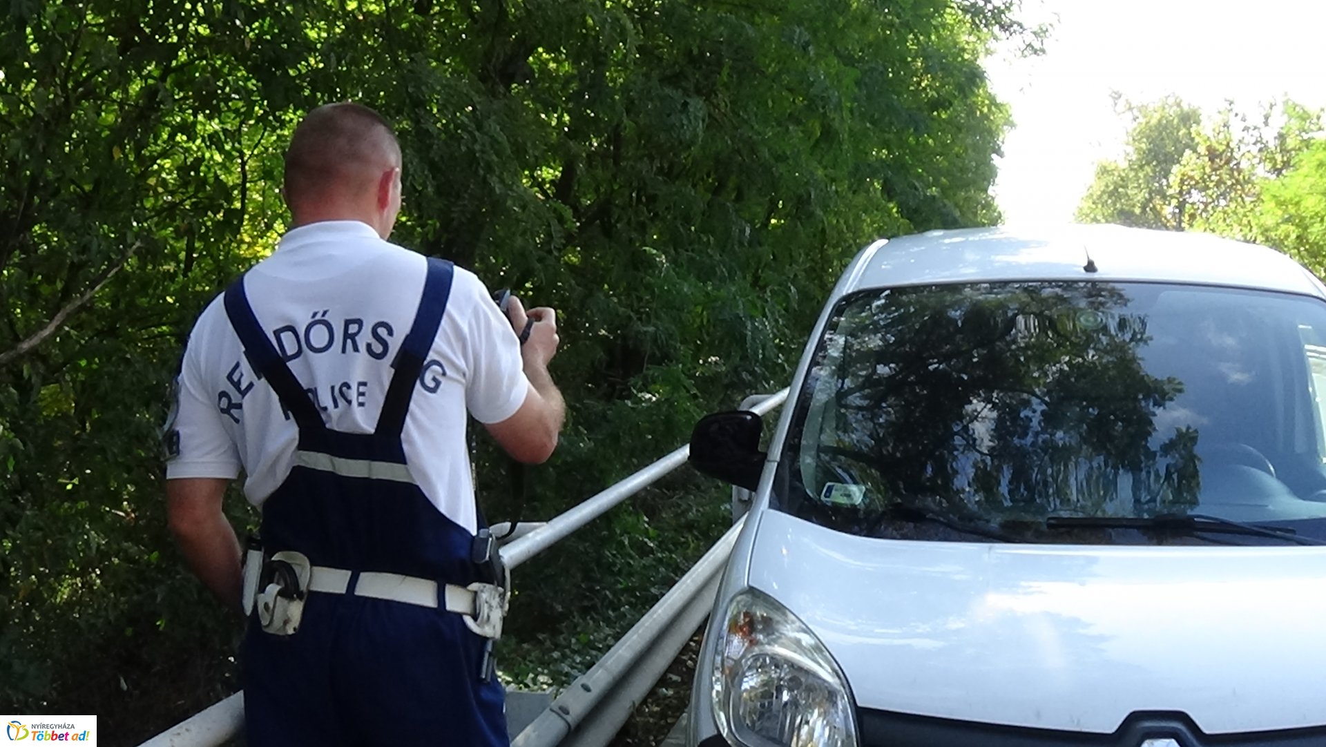 Száraz faág hajlott a Sóstói út forgalmi sávjára 