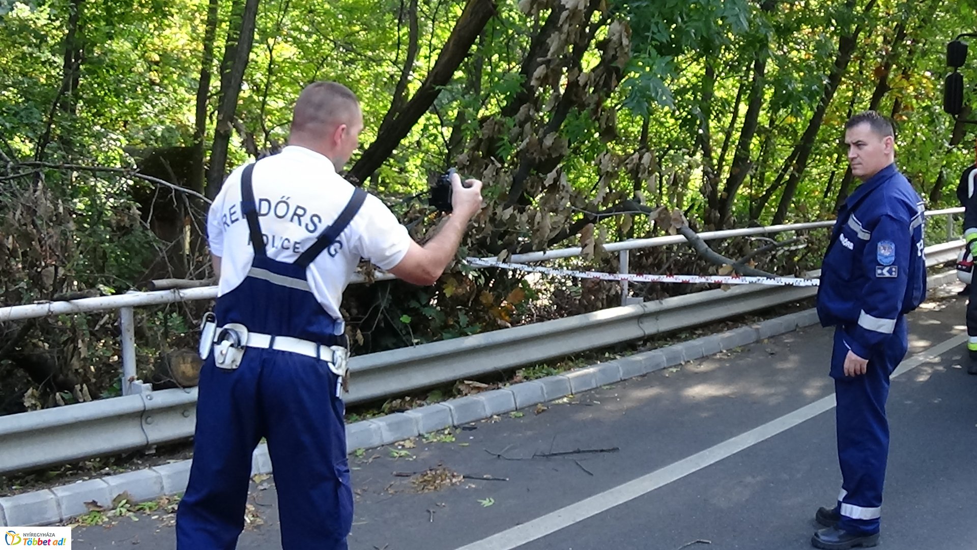 Száraz faág hajlott a Sóstói út forgalmi sávjára 