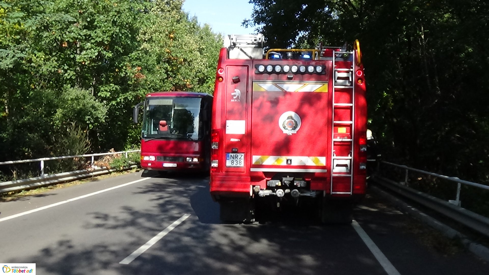 Száraz faág hajlott a Sóstói út forgalmi sávjára 