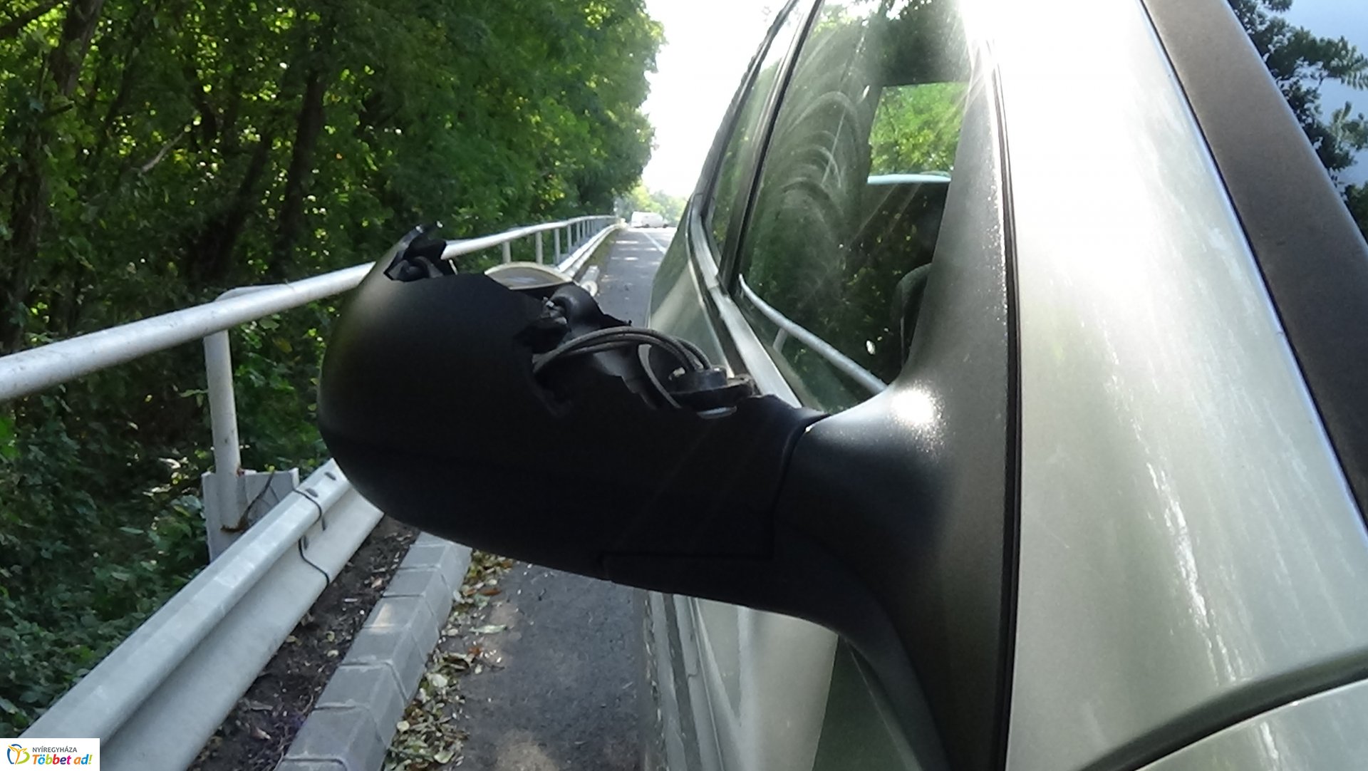 Száraz faág hajlott a Sóstói út forgalmi sávjára 