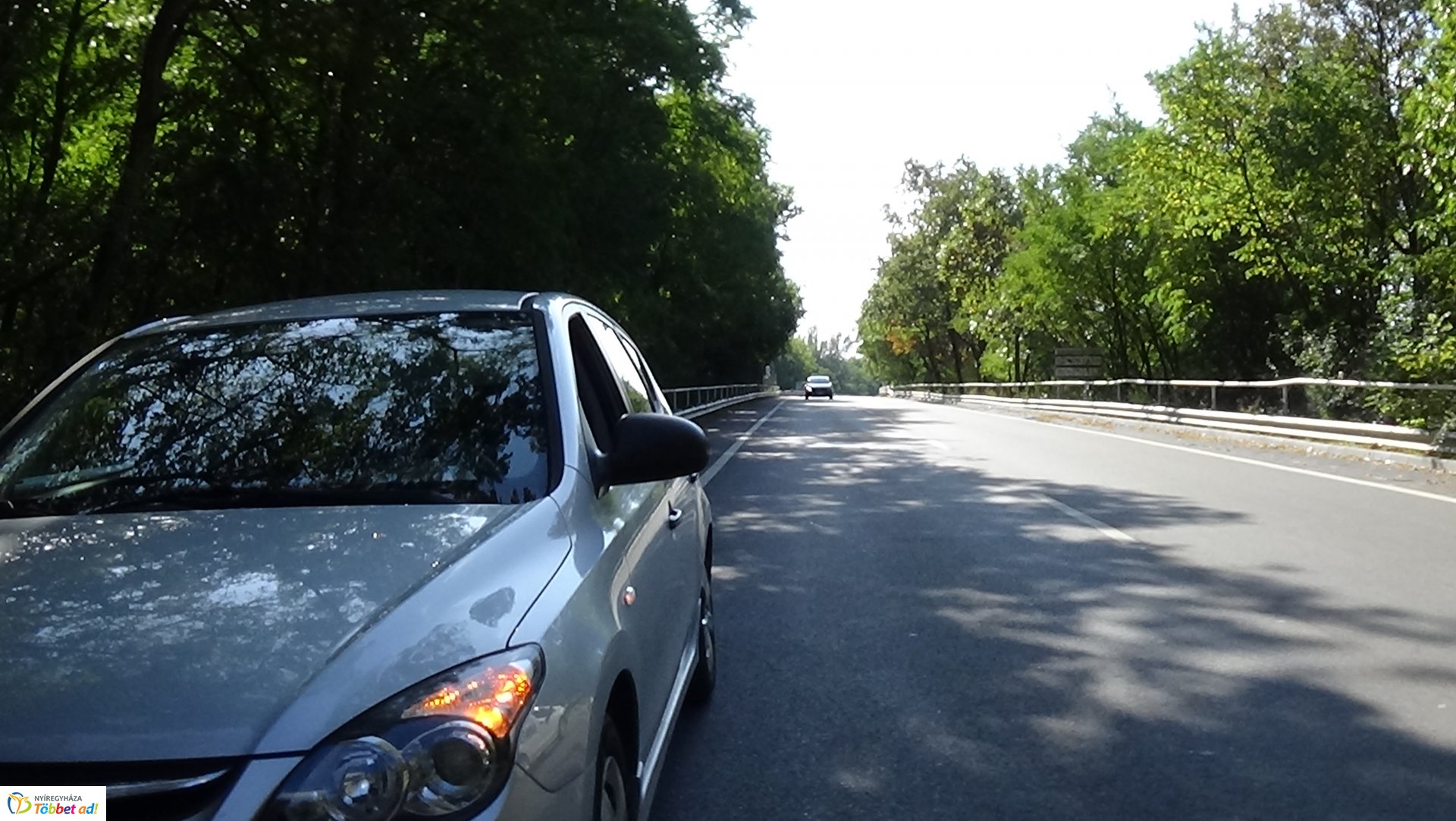 Száraz faág hajlott a Sóstói út forgalmi sávjára 