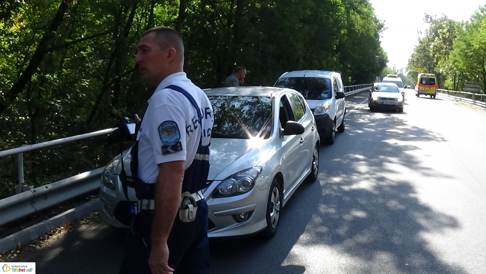 Száraz faág hajlott a Sóstói út forgalmi sávjára 