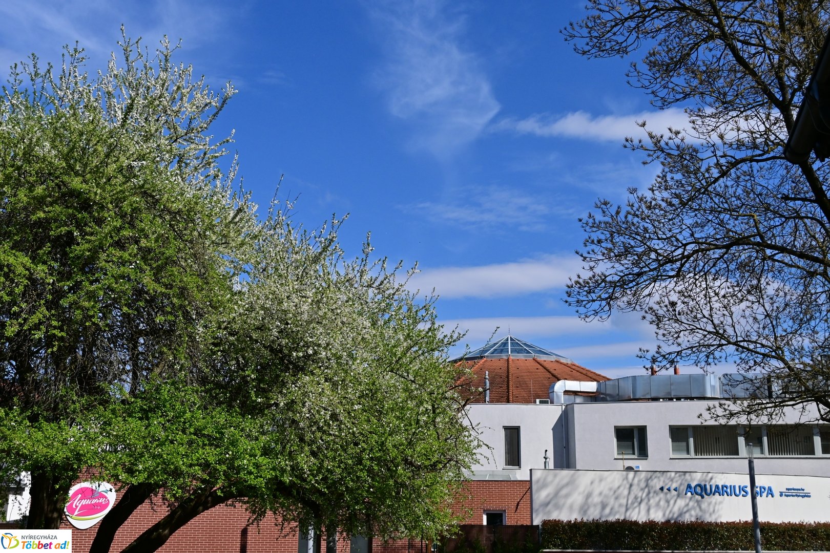 Szaunaház átadó az Aquarius-ban 2026