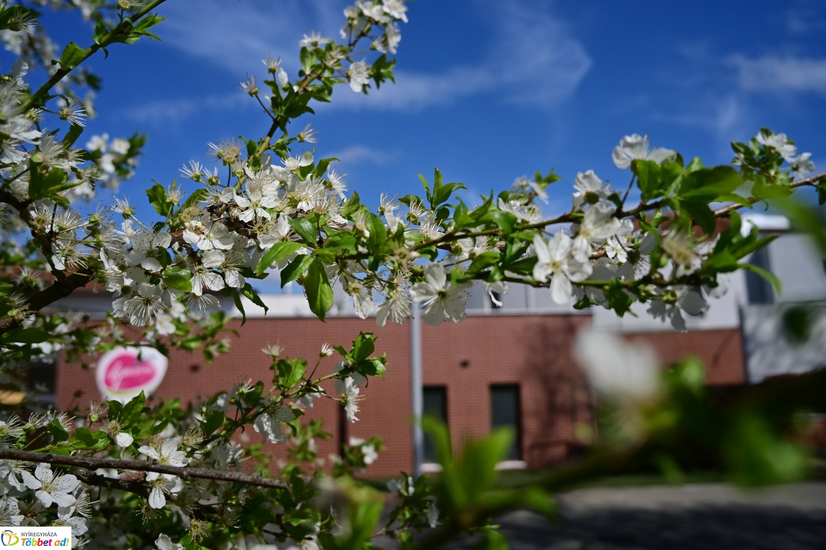 Szaunaház átadó az Aquarius-ban 2026