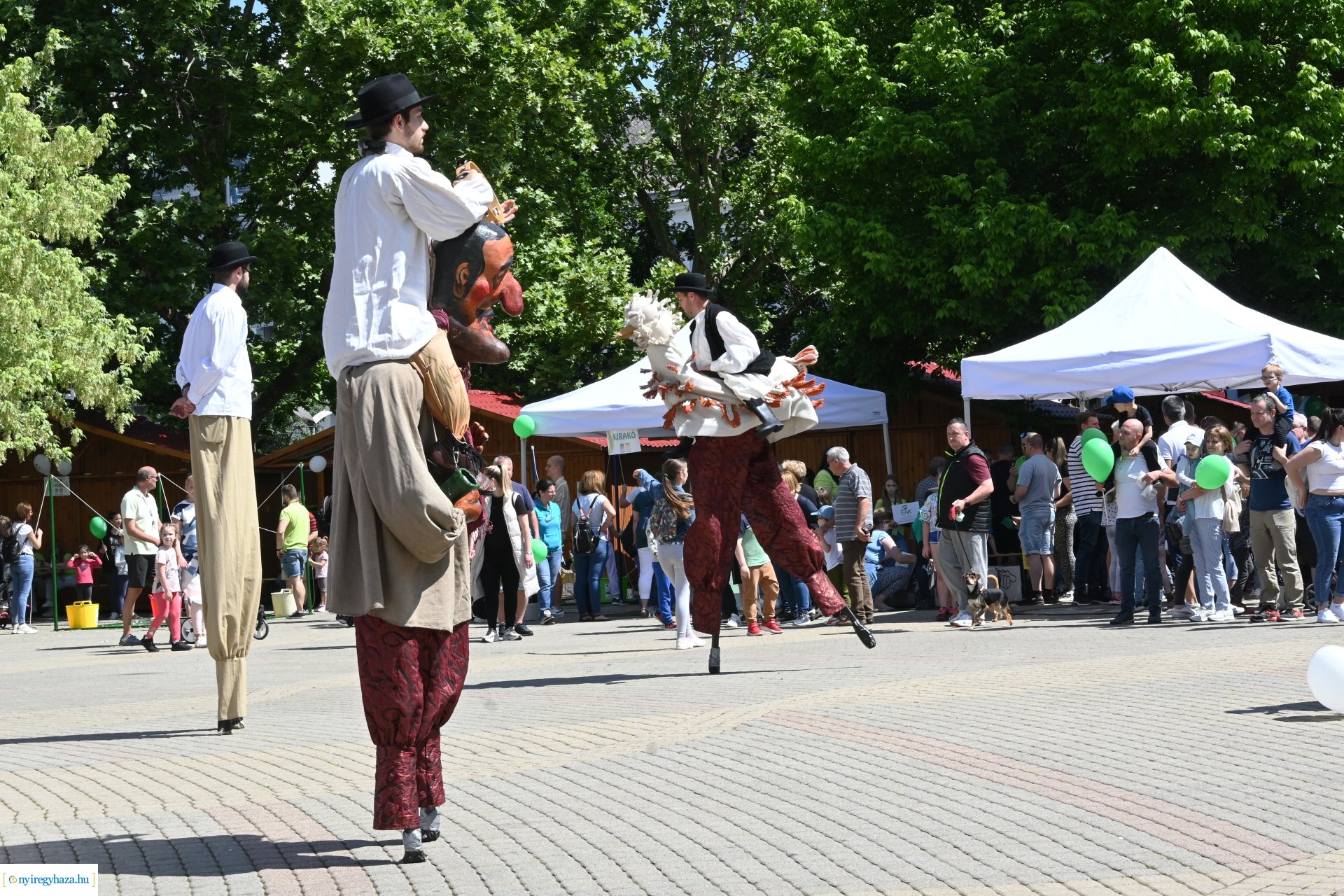 Szelektív Szombat - délelőtti programok 2024.