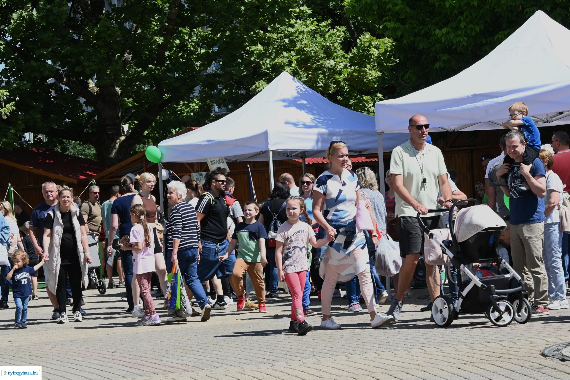 Szelektív Szombat - délelőtti programok 2024.