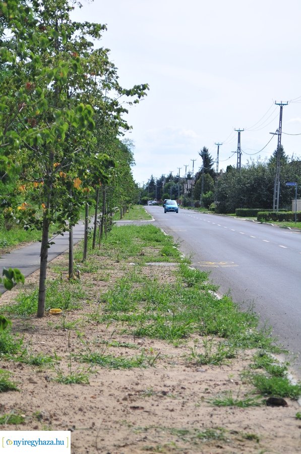 Szélsőbokori út átadó 20230809