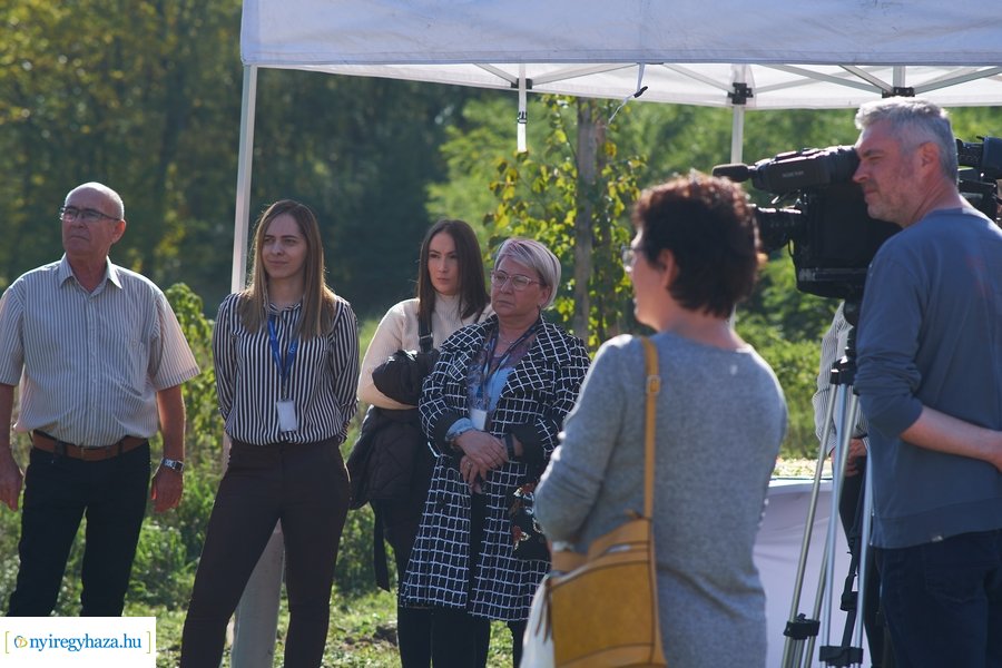 Szélsőbokori út felújítása 20221006