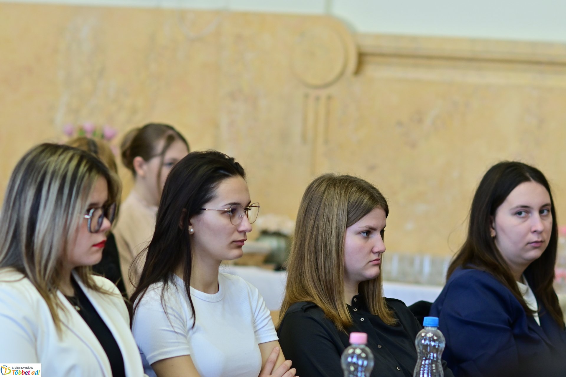 Szemléletformáló szakmai konferencia a Megyeházán