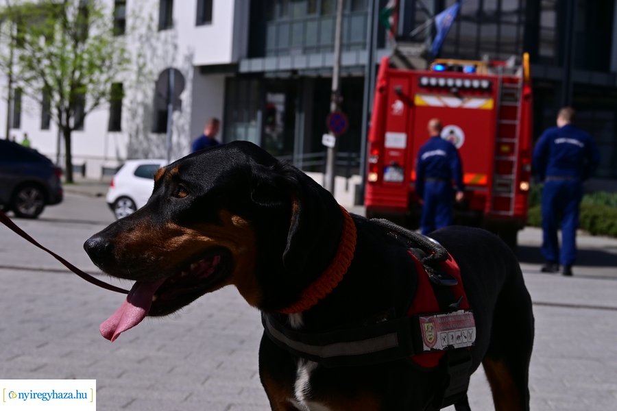 Szent Flórián Nap 2024